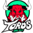 德尔瓦莱公牛logo