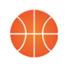 苏杜明斯克logo