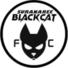 苏拉纳里黑猫logo