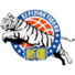新疆飞虎U21logo