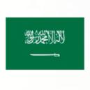 沙特阿拉伯U17logo